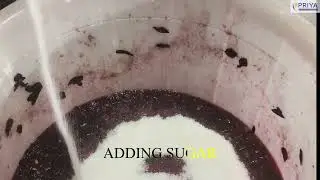 WINE MAKING - 2025