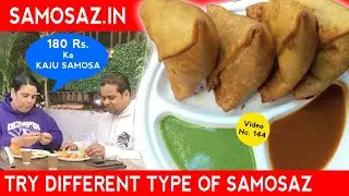 TRY DIFFERENT TYPE OF SAMOSA AT SAMOSAZ ! Delhi Food Vlogs ! Delhi Street Food ! Indian Street Food