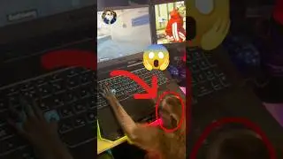 Monkey Plays CS:GO 🎮💥🐒 #Monkey #Animalvideos #Animals #Csgo