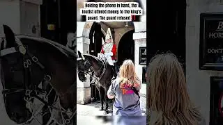 Holding the phone in hand, the tourist offered money to the king's guard. The guard refused‼️