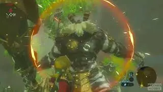 My First Lynel Battle in Master Mode &ndash; I Forgot to Equip My Shield at the End! #Zelda #zeldabotw