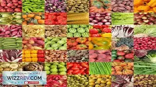 #4 Heirloom Vegetable 150+ seed 6 Variety Garden Set Emergency Survival NON GMO