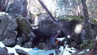 Aeronaut plus, 6c. Magic Wood