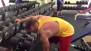 Dumbbell Rows at Armbrust Pro Gym