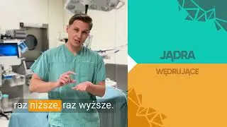 Jądra wędrujące u dziecka