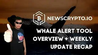Newscrypto Whale Alert tool overview + weekly update recap