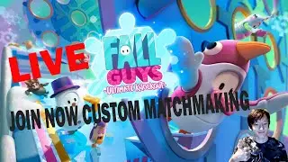 Fall Guys Custom Matchmaking Live Join Now Add Me on Steam Also If You Want