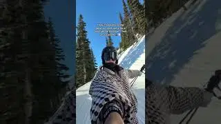 GREEN RUN VS BLUE RUN ... which is better you think?? 😮&zwj;💨 | #skitrip #skiing #winter