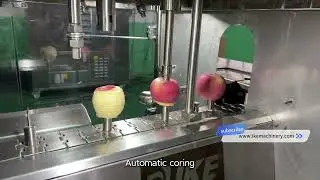 KD PS001 Small Fruit Processing Machine | Apple Peeling, Coring & Segment Cutting