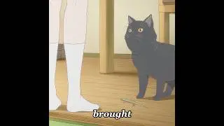 My cat helped me find my first friend. #anime #foryou #shorts