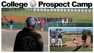 ⚾️ Первый студенческий бейсбольный лагерь!!! 🤔