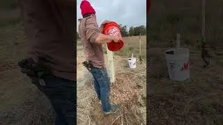 Video #4 Oak Trees in Tree Pots: Planting Demonstration, presented by Jesse Trace