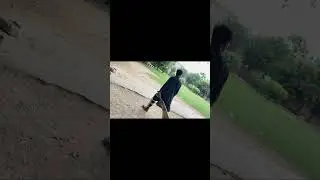 Cricketer banty howy 😁 #viral #shortvideo #vlog #youtubeshorts