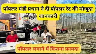 Poplar price today || पॉपलर रेट की मौजूदा जानकारी || कितने इंच का कितना रेट लगता है#trending #पॉपलर