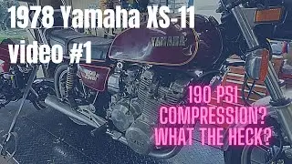 1978 Yamaha XS11 - walkaround, teardown, initial diagnosis. Video #1