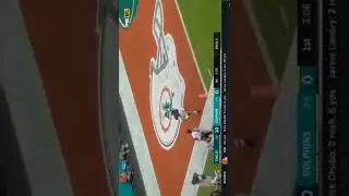Devante Parker best plays as a dolphin #shorts