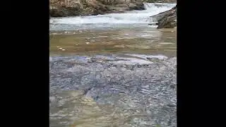10 Minutes of Creek Water Flow | Soothing Waterfall Sounds for Relaxation