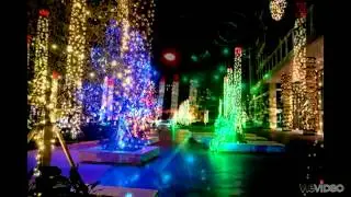 Office Holiday and Christmas Decoration