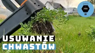 Jak usunąć chwasty z trawnika i mieć piękny trawnik na wiosnę? Perz, chwastnica | DIY #16