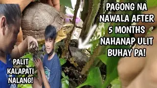 PAGONG NAWALA NG 5 MONTHS BUHAY PA! SWAP DAW SA KALAPATI 😂