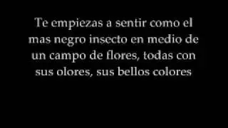 Blanki&cia- Un d&iacute;a gris