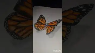 when you want to fly 🦋.               #art #shorts #song #dhurandhar #viral #youtube