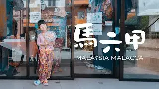 2025 馬來西亞 馬六甲 雞場街 MALAYSIA / MALACCA / JONKER WALK / D'Tank Paradise - PART3