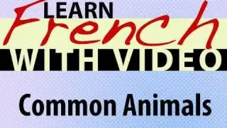 Learn French with Videos - Common Animals