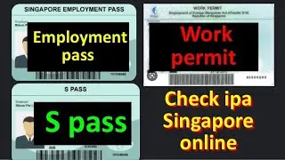 How To Check Singapore ipa | How Check Singapore ipa online | check ipa status Singapore