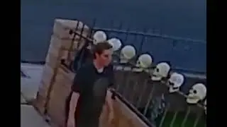 skull on fence meme