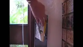 Termite control Sydney 1 Attach a bait station