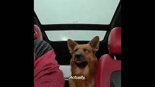 #DontDropTheOhYeah