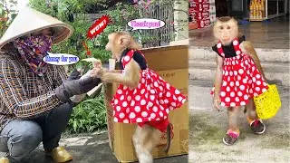 Monkey Lyly sells scrap metal and has money to buy food for her mother.