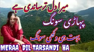 //Meraa Dil Tarsandi Ha//Phardi Song//Gojri Song//Dokhi Song//New Song//Latest New Vadio//