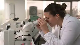 Cultivamos Biotecnología al servicio de la agricultura - BIOERA