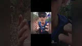 Tommy J. Pisa - Sarah (Lirik) cover by Faruk as