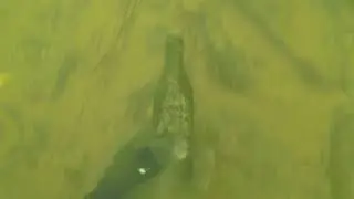 New England River Treasure Diving.