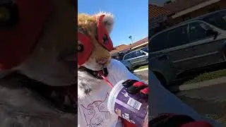 Funny Drinking Video of Superhero Terry the Fire Tiger on the street and sipping on water