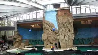 Duisburger Zoo 12 04 2009 003