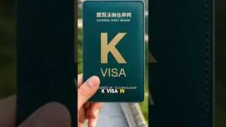 China&rsquo;s K Visa boycotted by their own people