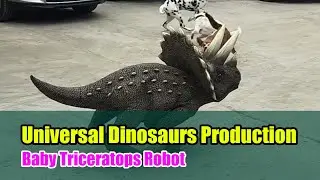 Baby #DinosaurRobot (Juvenile #Triceratops Style), #RobotDog #RobotAI #Unitree