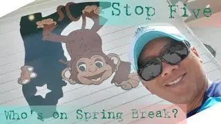 Florida Cracker Monkey Bar в Хомосассе, Флорида &mdash; весенние каникулы 2021 г.