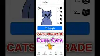 Share Your Cat Pic | Cat Airdrop Upgrade Cat | cats airdrop new update | upgrade cat