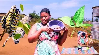 African woman Cooking mopane worms 🪱 & Beans Leaves Recipe 🍃 | Unique style 🤯 African village life