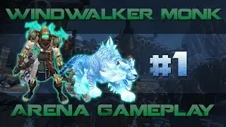 WoW Windwalker Monk 2v2 Arenas 5.4.2 #1