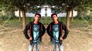 Bichu das