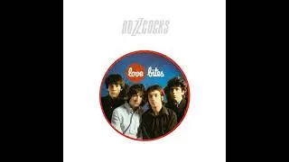 BUZZCOCKS - Operators Manual