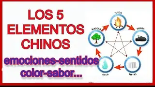 Los 5 elementos chinos y sus relaciones