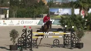 Vladimir Tuganov +Qualidam 1,45m GP Ranking Class 04.11.2018