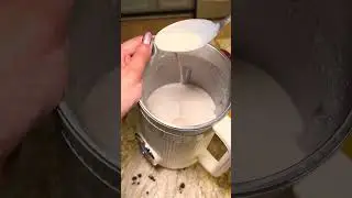 Nut Milk Maker in Action -Amazing Flavor!